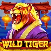 Boa Diversão! Slots 789jili São Confiáveis